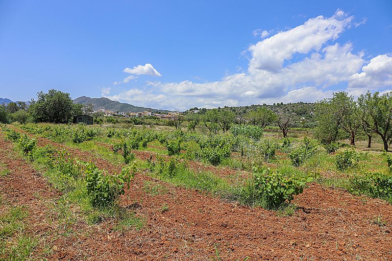 Maison de campagne à Benissa - Max Villas